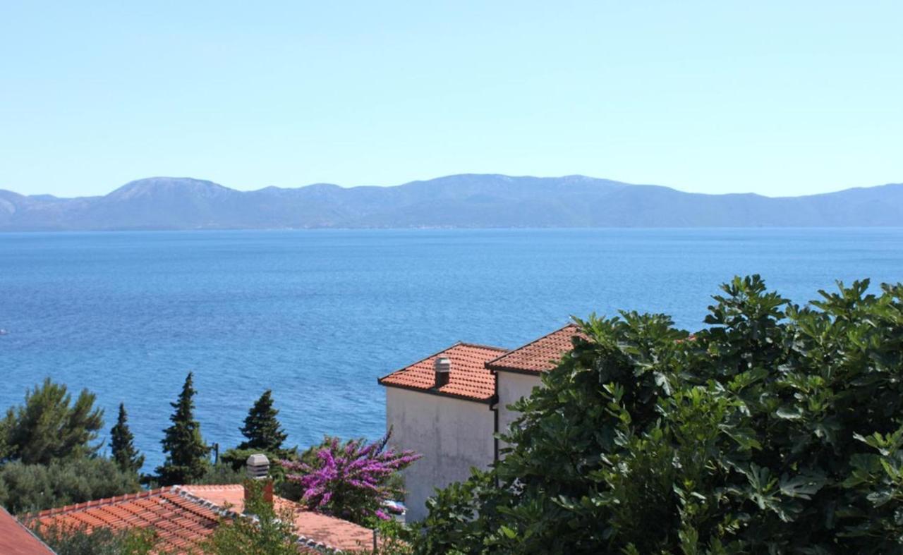 Hotel Vila Stefan à Podaca Extérieur photo